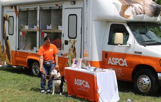 The ASPCA at Old Salem Farm; photo © Jump Media