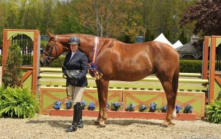 Rock Harbor, ridden by Louise Serio, was named Grand Hunter Champion on Wednesday, May 10, during the 2017 Old Salem Farm Spring Horse Shows at Old Salem Farm in North Salem, NY; photo © The Book