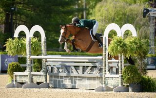 Fetching, ridden by Patricia Griffith, was named Grand Hunter Champion on Wednesday, May 17, during the 2017 Old Salem Farm Spring Horse Shows at Old Salem Farm in North Salem, NY; photo © The Book