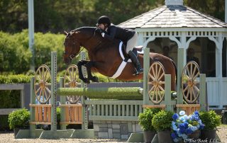 True Story and Holly Orlando jumped to a champion ribbon in the Green Conformation Hunter Division, which won them Grand Hunter Champion honors during the 2018 Old Salem Farm Spring Horse Shows at Old Salem Farm in North Salem, NY. Photo by The Book